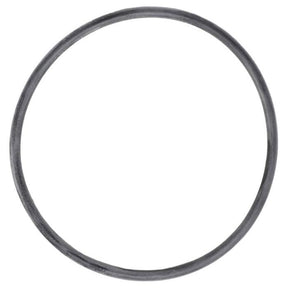 Massey Ferguson - Massey Ferguson - O Ring - 3779319M1 - Farming Parts