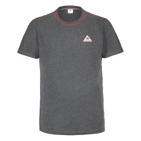 A grey cotton short-sleeve t-shirt from AGCO, featuring red trim on the collar and a logo with a triangle and stylized maple leaf on the chest, named Massey Ferguson - Mens T-Shirt - X993322161.