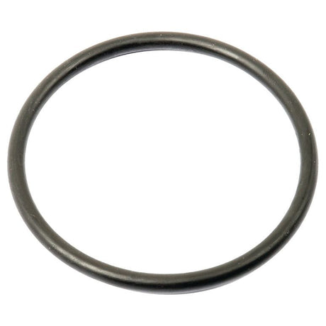 Sealing Ring 75.6 x 5.34mm
 - S.79168 - Massey Tractor Parts
