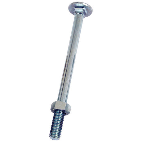 Metric Carriage Bolt and Nut, Size: M10 x 160mm (Din 603/555)
 - S.8284 - Massey Tractor Parts