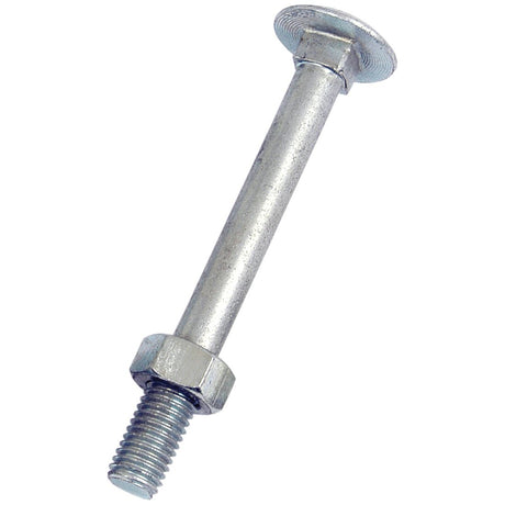 Metric Carriage Bolt and Nut, Size: M12 x 110mm (Din 603/555)
 - S.8307 - Massey Tractor Parts