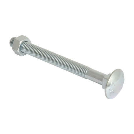 Metric Carriage Bolt and Nut, Size: M12 x 130mm (Din 603/555)
 - S.8309 - Massey Tractor Parts