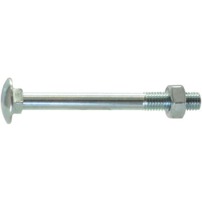 A Sparex Metric Carriage Bolt and Nut, M12x40mm (DIN 603/555), Sparex Part No. S.8297, featuring a threaded shaft, flat round head, and hex nut.