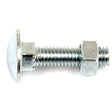 Metric Carriage Bolt and Nut, Size: M6 x 25mm (Din 603/555)
 - S.8224 - Massey Tractor Parts