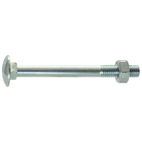 The Sparex Metric Carriage Bolt and Nut, M6x30mm (DIN 603/555), features a rounded head with a hexagonal nut threaded onto the end, providing tensile strength of 4.6.