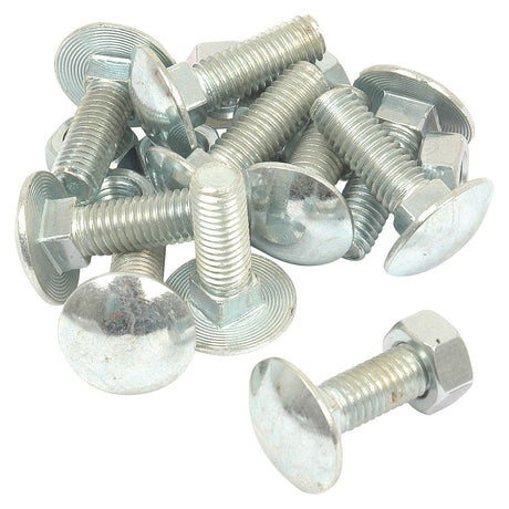 Metric Carriage Bolt and Nut, Size: M8 x 25mm (Din 603/555)
 - S.8244 - Massey Tractor Parts