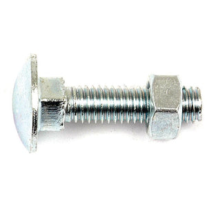 A Sparex Metric Carriage Bolt and Nut, M8x60mm (DIN 601/934) with a zinc plated finish, featuring a square neck and hex nut on a white background.