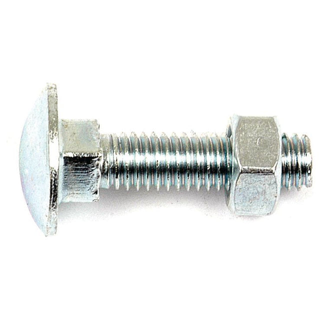 Metric Carriage Bolt and Nut, Size: M8 x 80mm (Din 603/555)
 - S.8254 - Massey Tractor Parts
