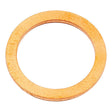 A Metric Copper Washer (Sparex Part No.S.8842) by Sparex, featuring a circular shape, flat surface, and a 17mm inner diameter.