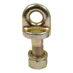 Metric Eye Bolt, Ø15mm with a threaded shaft and hexagonal nut at the base - Product Name: Metric Eye Bolt, M16x45mm, Ø15mm | Sparex Part No.S.13262 - Brand Name: Sparex