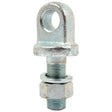 The Sparex Metric Eye Bolt, M24x65mm, Ø24mm (Part No.S.13264), features a circular loop at the top and a threaded shaft at the bottom, secured by two nuts, making it ideal for heavy-duty applications.