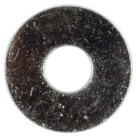 Metric Flat Washer, ID: 10mm, OD: 30mm, Thickness: 2.5mm (Din 9021A)
 - S.6875 - Massey Tractor Parts