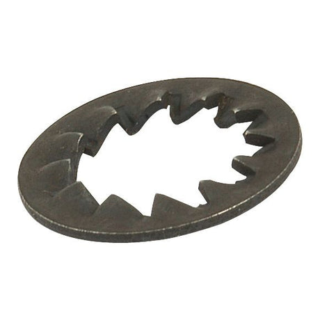 Metric Internal Shakeproof Washer, ID: 10mm
 - S.5829 - Farming Parts