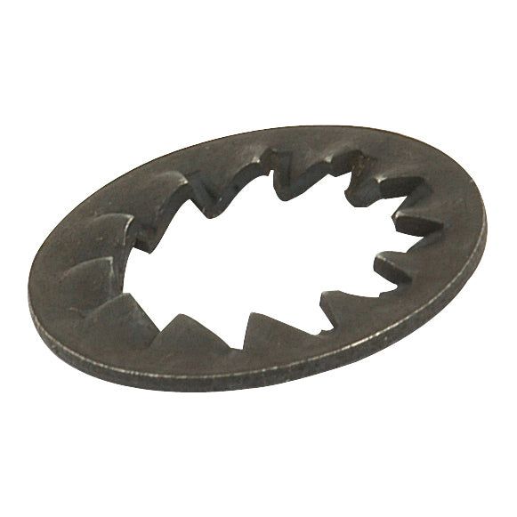 Metric Internal Shakeproof Washer, ID: 6mm
 - S.5827 - Farming Parts