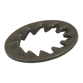 The Sparex Metric Internal Shakeproof Washer (Sparex Part No. S.5827) is a metal star lock washer with a 6mm inner diameter and an inner serrated edge, ensuring a secure fit.