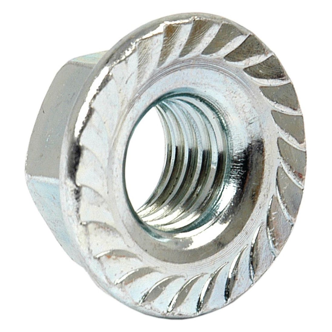 A close-up image of a shiny, Sparex Part No. S.56827 zinc-plated M12x1.75mm Metric Serrated Flange Nut (DIN 6923) with internal threading.