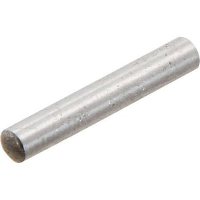 A cylindrical metal rod, resembling a Sparex Needle Bearing (60 pcs.) with Sparex Part No. S.42070, rests on a white background.