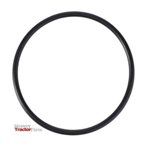ORing Filter - 3903194M1 - Massey Tractor Parts