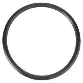 The AGCO Massey Ferguson - ORing Lift Piston - 3761473M1, a black rubber O-ring commonly used in Massey Ferguson 200 Series tractor parts, is displayed on a white background.
