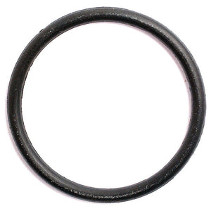 O Ring 1/16'' x 13/16'' (BS19) 70 Shore - S.8143 - Massey Tractor Parts