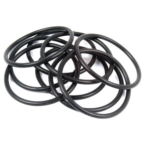 A group of Sparex O Ring 1/8'' x 2'' (BS226) 70 Shore, made from durable nitrile rubber, is scattered on a white background.