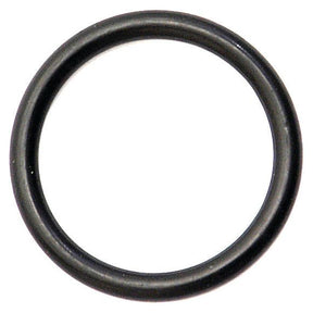 A black O Ring 4 x 31mm 70 Shore by Sparex (Part No. S.42299) against a white background.