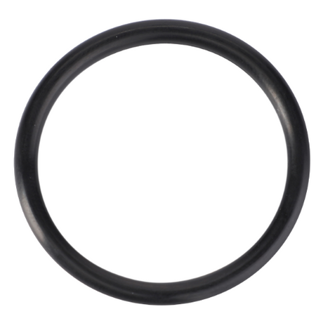 O Ring - 70923813 - Massey Tractor Parts