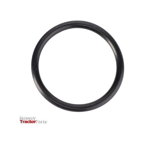 O Ring Diameter 19.4x2.1 - 3019398X1 - Massey Tractor Parts