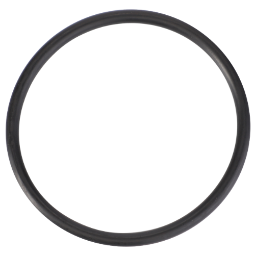 The AGCO Fendt - O Ring - F291200610120, a black rubber O-ring engineered for high-performance applications, is displayed on a white background.