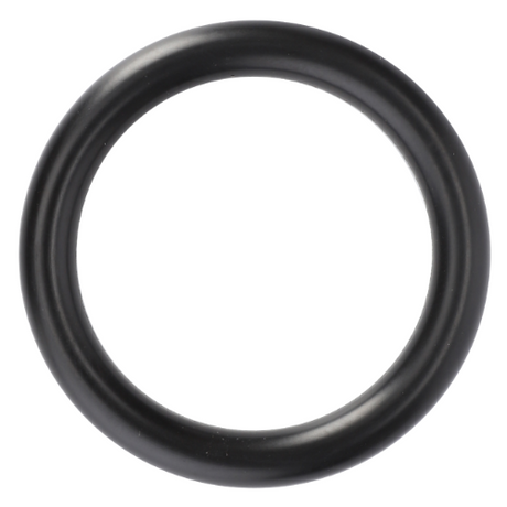 O Ring - F716201610010 - Massey Tractor Parts