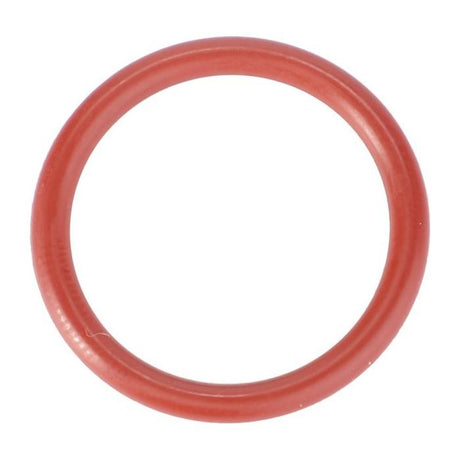 O Ring - F916961022100 - Massey Tractor Parts