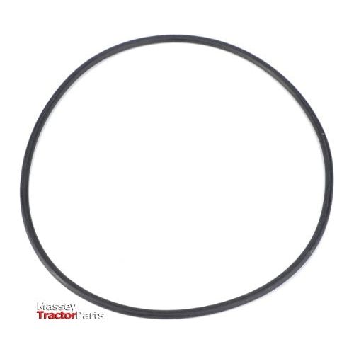 O Ring Filter - X548989201000 - Massey Tractor Parts