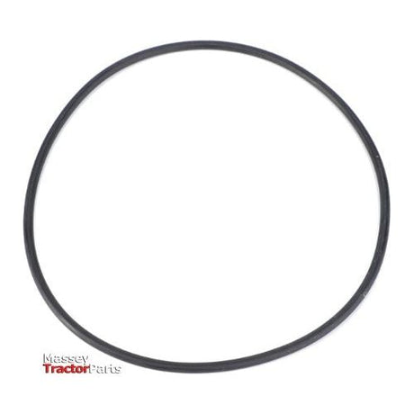 O Ring Filter - X548989201000 - Massey Tractor Parts