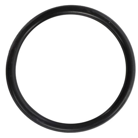 O Ring Lift Cylinder - 3761475M1 - Massey Tractor Parts