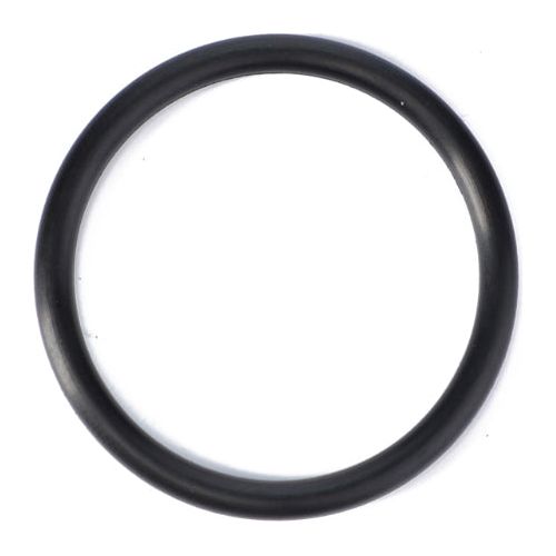 O Ring Oil Cap - 3019399X1 - Massey Tractor Parts