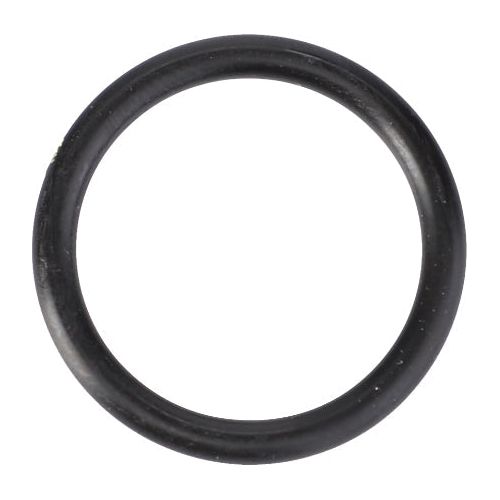 O Ring Oil Tank - X548857366000 - Massey Tractor Parts