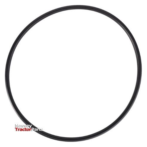 O Ring Pump Mount - 363888X1 - Massey Tractor Parts