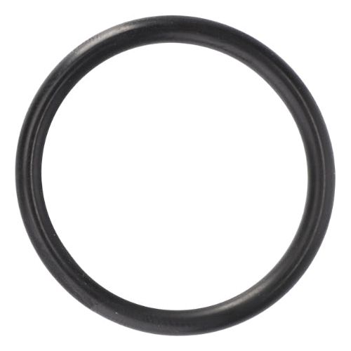 O Ring Pump/Thermostat Housing - V614602930 - Massey Tractor Parts