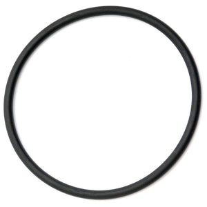 O Ring
 - S.62442 - Massey Tractor Parts