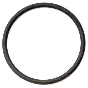 Sparex black rubber O-ring, Part No. S.66304, displayed on a white background, is suitable for use in Fiat and Ford/New Holland machinery.
