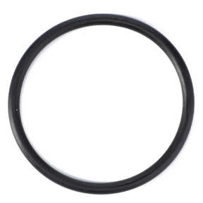 A black rubber O-ring from the AGCO brand, specifically the Massey Ferguson - O Ring Strainer Unit - 195876M1, is displayed on a white background, suitable for Massey Ferguson equipment.