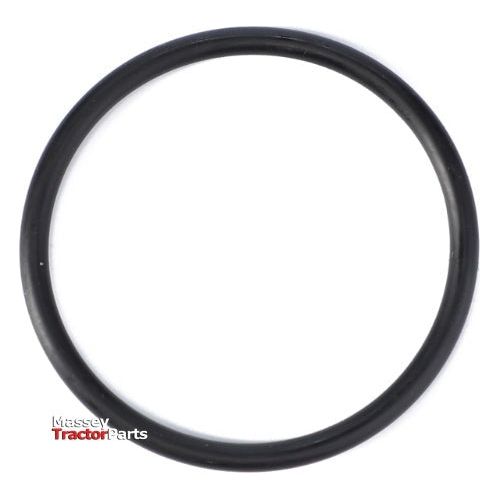 O Ring Strainer Unit - 195876M1 - Massey Tractor Parts