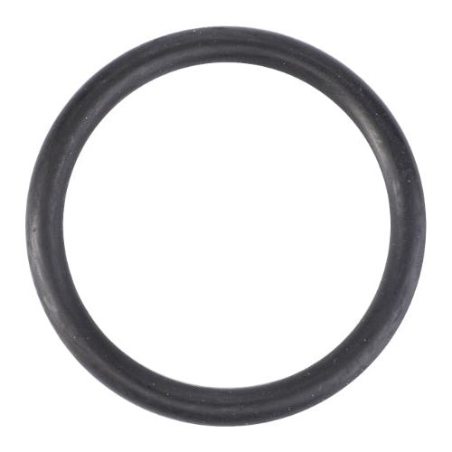 O Ring Thermostat Housing - V614604958 - Massey Tractor Parts
