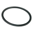 A close-up image of the Sparex Oil Seal, measuring 56 x 63 x 2mm (Sparex Part No. S.42242), featuring a smooth surface ideal for sealing joints in machinery or plumbing, perfect for ensuring tight seals in models like the Massey Ferguson 135.