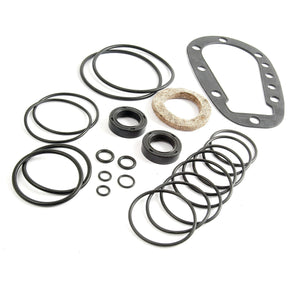 A Sparex Orbital Motor Seal Kit, featuring a collection of various rubber O-rings, seals, and a gasket, is laid out on a white background.