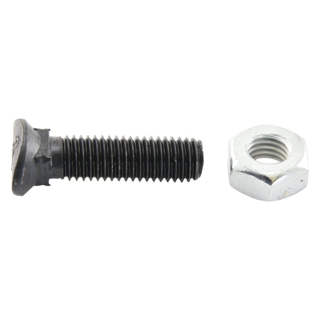 Oval Head Bolt Square Collar With Nut (TOCC) - 7/16'' x 2 1/2'' Tensile strength 8.8 (25&nbsp;pcs. Box) - S.27462 - Farming Parts