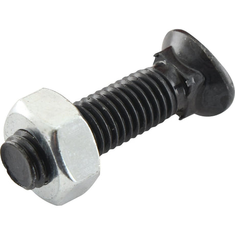 Oval Head Bolt Square Collar With Nut (TOCC) - M10 x 45mm, Tensile strength 8.8 (25 pcs. Box)
 - S.77116 - Massey Tractor Parts