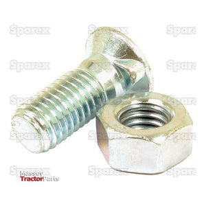 Oval Head Bolt Square Collar With Nut (TOCC) - M8 x 35mm, Tensile strength 8.8 (10 pcs. Agripak)
 - S.27538 - Farming Parts