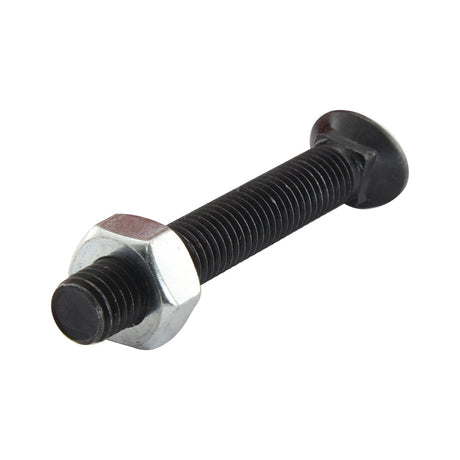 Oval Head Bolt Square Collar With Nut (TOCC) - M8 x 35mm, Tensile strength 8.8 (10 pcs. Agripak)
 - S.27538 - Farming Parts