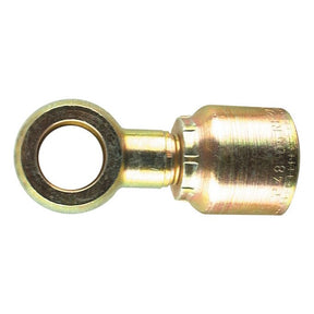A Sparex Parker BSP Banjo Hose Insert 3/8'' x 16mm - S.3751606, a metal hydraulic fitting featuring a circular eyelet on one end and a threaded connector on the other.